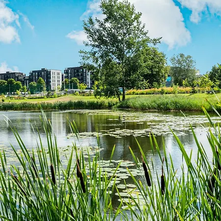 50m2 Near Japanese Garden - 4th Floor 公寓 维尔纽斯